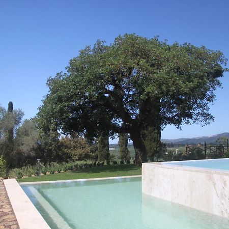 Agriturismo Il Broletto Suvereto Esterno foto