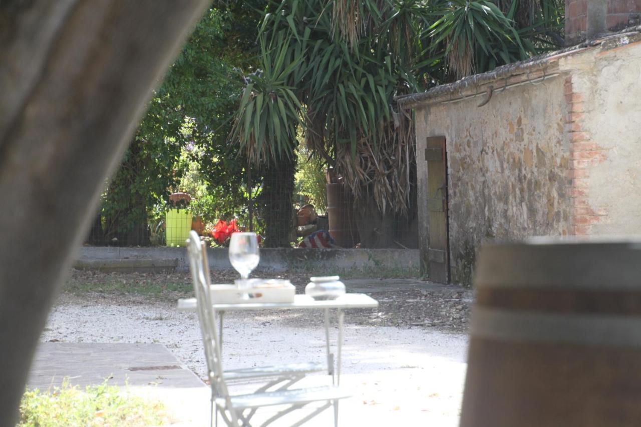 Agriturismo Il Broletto Suvereto Esterno foto