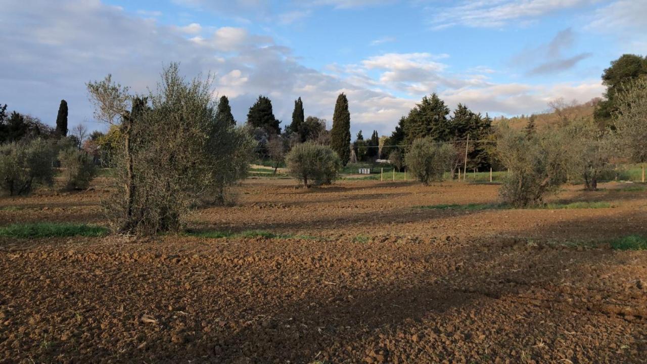 Agriturismo Il Broletto Suvereto Esterno foto